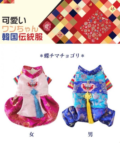 画像4: ペットウェア カラフル 蝶柄 チマチョゴリ DOG 韓国風ドレス ハンボク 伝統服【宅配便・ネコポス対応】 (4)