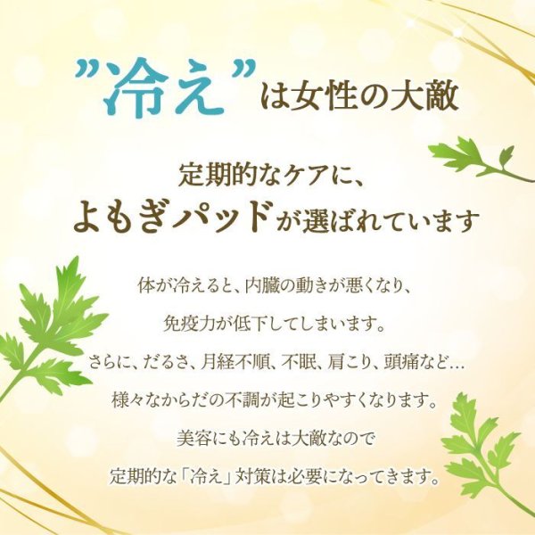 画像7: よもぎ蒸しパッド よもぎ蒸し よもぎパット ダナミ オーガニックよもぎ温座パット 冷房 冷え対策 ≪温活≫ 韓国エステ 正規品 【全国送料無料】 (7)