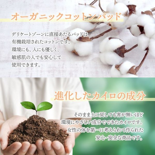 画像10: よもぎ蒸しパッド よもぎ蒸し よもぎパット ダナミ オーガニックよもぎ温座パット 冷房 冷え対策 ≪温活≫ 韓国エステ 正規品 【全国送料無料】 (10)