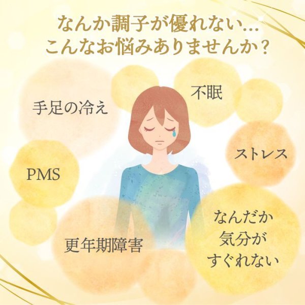 画像6: よもぎ蒸しパッド　よもぎ蒸し　よもぎパット　ダナミ　オーガニックよもぎ温座パット　冷房　冷え対策　≪温活≫ 韓国エステ　正規品　【全国送料無料】 (6)