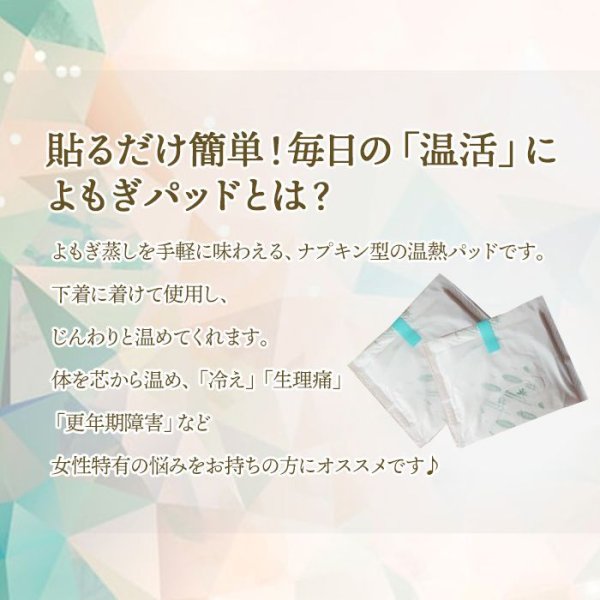 画像5: よもぎ蒸しパッド よもぎ蒸し よもぎパット ダナミ オーガニックよもぎ温座パット 冷房 冷え対策 ≪温活≫ 韓国エステ 正規品 【全国送料無料】 (5)
