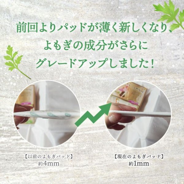 画像13: よもぎ蒸しパッド よもぎ蒸し よもぎパット ダナミ オーガニックよもぎ温座パット 冷房 冷え対策 ≪温活≫ 韓国エステ 正規品 【全国送料無料】 (13)